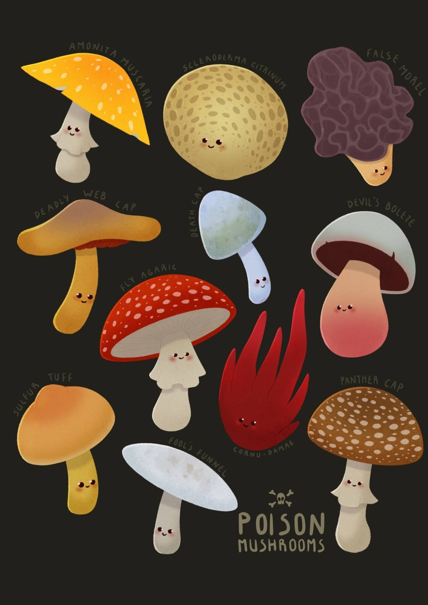 Lokamy – Illustration