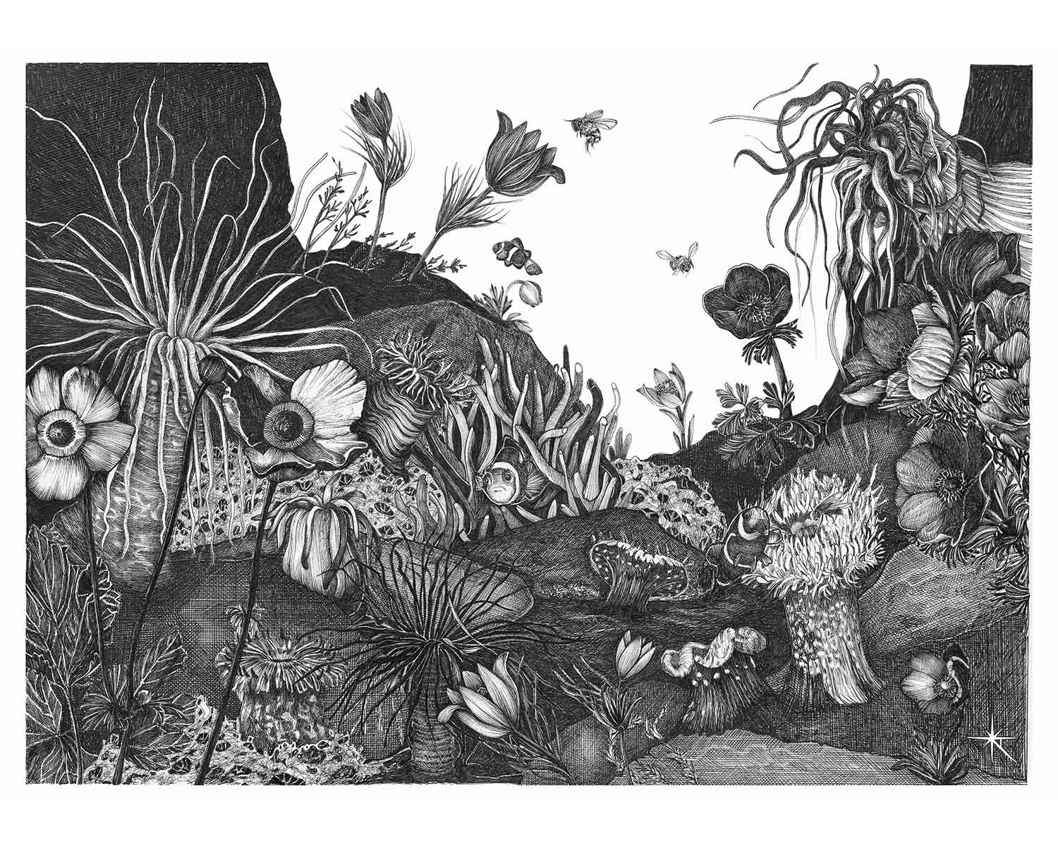 Pao Rover – Illustration