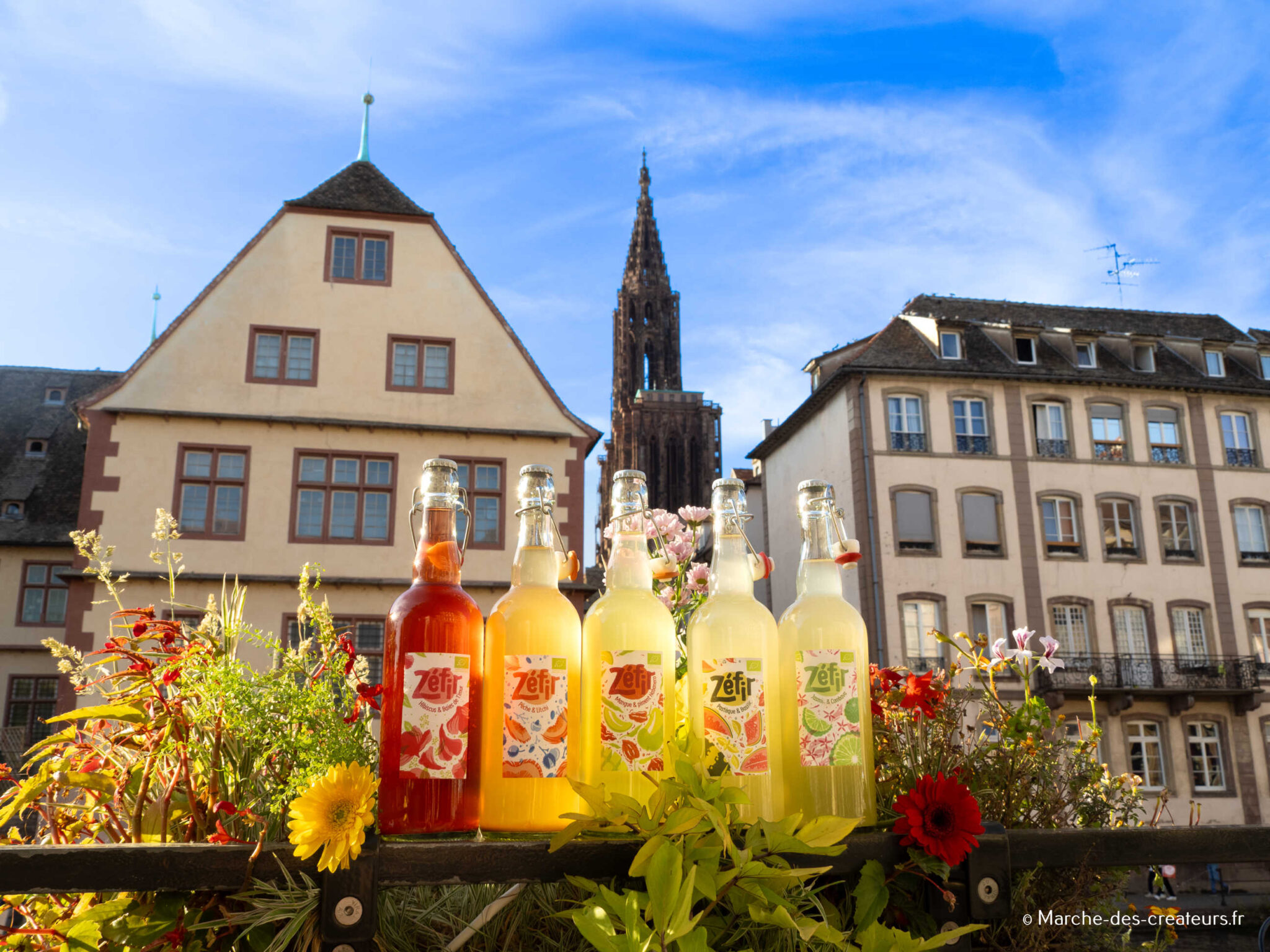 Zéfir –  La boisson au Kéfir que vous allez adorer