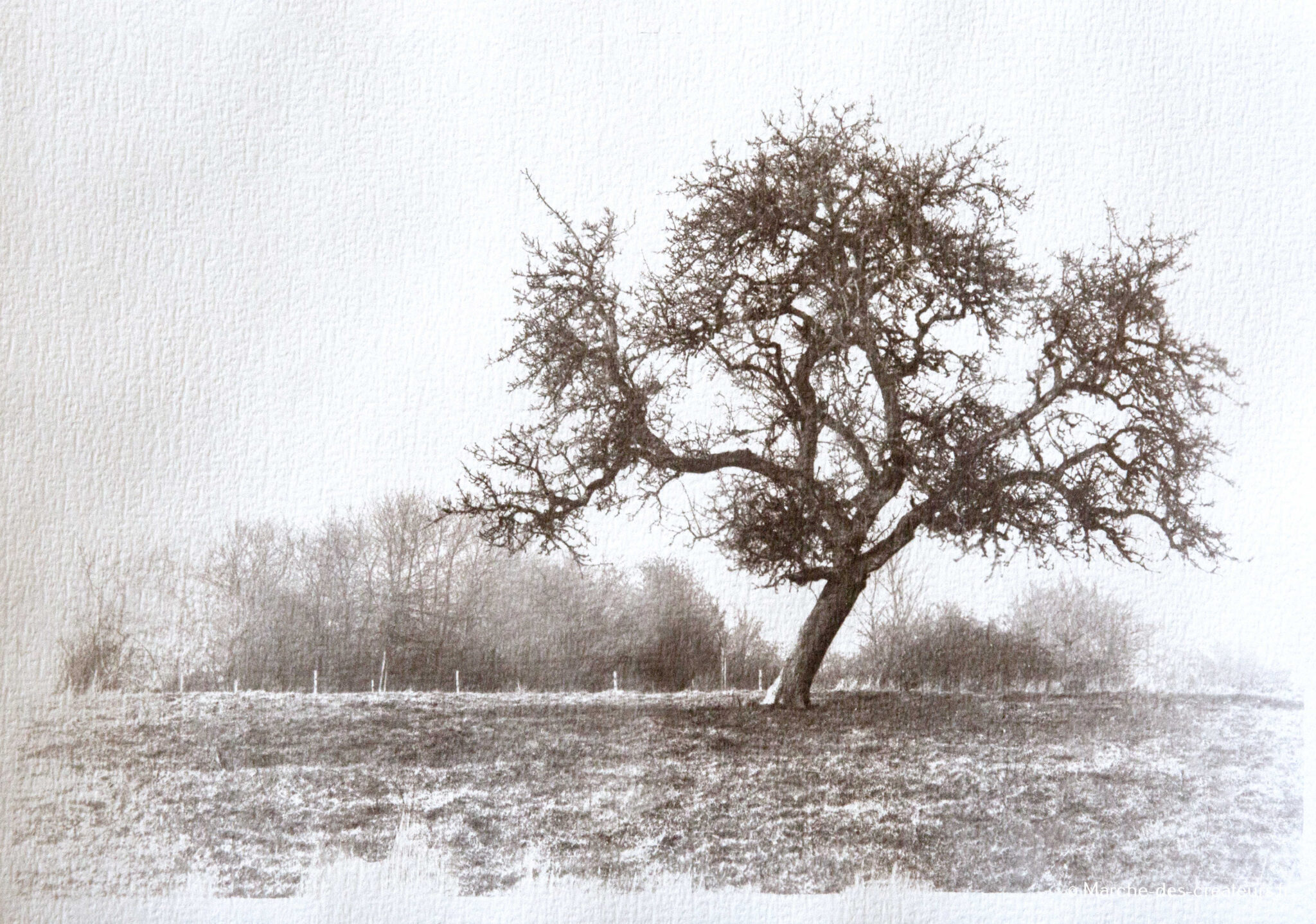 JC Lomo – Photographe + Interview